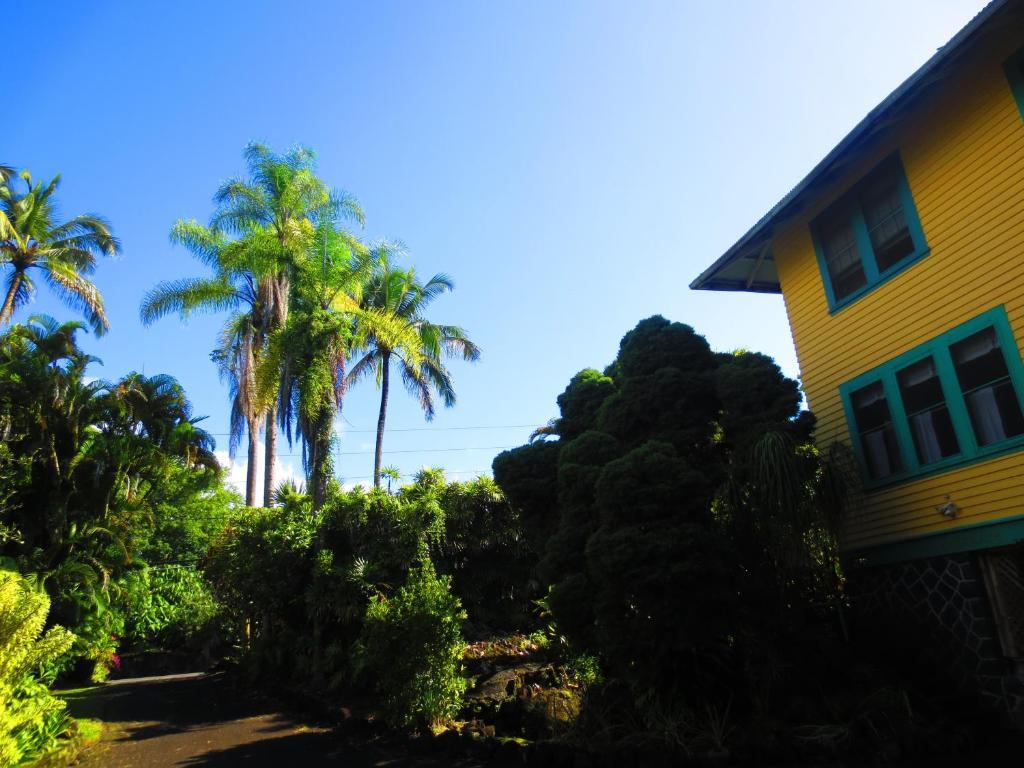 Maureen'S Bed And Breakfast 希洛 外观 照片