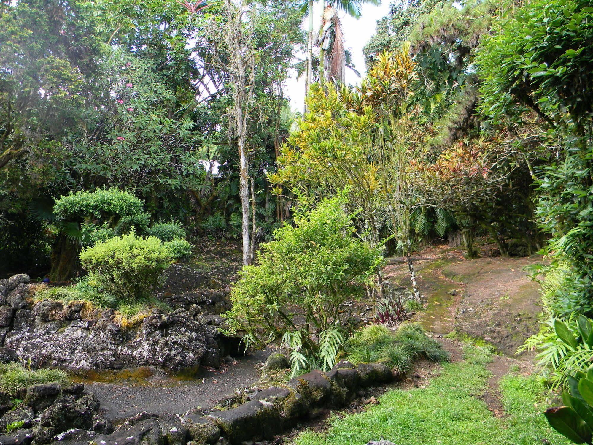 Maureen'S Bed And Breakfast 希洛 外观 照片
